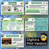 Educational materials on economic systems with digital and print versions displayed.