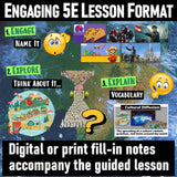 Cultural Diffusion Lesson & McDonalds in India Close Reading - MS Digital Resources