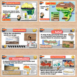 Desertification in Africa Lesson - Sahara, Sahel, Human Impact | Print & Digital