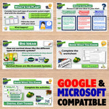Educational posters on economic systems with text and graphics on a wooden surface.