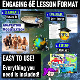 Human Environment Interactions Lesson & Activities - Microsoft Digital Resources