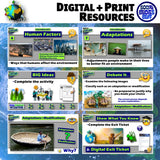 Human Environment Interaction Intro Lesson - Geography Activities & Review