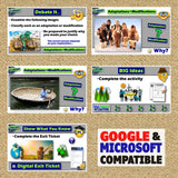 Human Environment Interaction Intro Lesson - Review Activities | Print & Digital