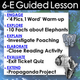 Educational lesson plan with steps and elephant graphics on a blue background