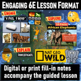 The Ivory Wars Poaching Lesson & Africa Geography Activities - MS Digital Resources