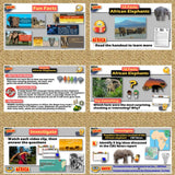 The Ivory Wars Poaching Lesson & Africa Geography Activities - MS Digital Resources