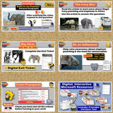 The Ivory Wars Poaching Lesson & Africa Geography Activities - MS Digital Resources