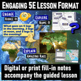 Middle East, Southwest Asia & North Africa Geography & Maps Lesson - MS Digital Resources