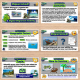 Educational materials on a wooden surface titled 'Shipwrecked!'.