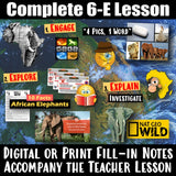 Digital Africa Ivory Wars Elephant Poaching and Conservation Social Studies Stuff Google Lesson Resources