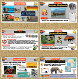 The Ivory War in Africa 6-E Lesson | Elephant Poaching and Conservation | Google